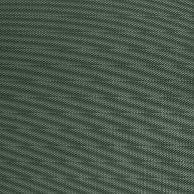 Оксфорд (Oxford) 240D 19-5917, PU/WR, 115 гр/м2, шир.150см, цвет т.зелёный - купить в Иркутске. Цена 152.54 руб.