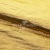 Текстильный материал "Диско"#1805 с покрытием РЕТ, 40гр/м2, 100% полиэстер, цв.5-золото - купить в Иркутске. Цена 412.36 руб.