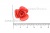 Украшение "Розы малые №1" 20мм - купить в Иркутске. Цена: 32.49 руб.