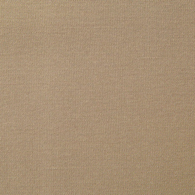 Костюмная ткань с вискозой "Меган" 18-1015, 210 гр/м2, шир.150см, цвет кофе милк - купить в Иркутске. Цена 380.91 руб.