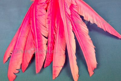 Декоративный Пучок из перьев, перо 25см/розовый - купить в Иркутске. Цена: 14.40 руб.