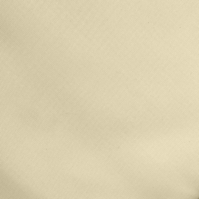 Ткань подкладочная Таффета 14-1014, антист., 53 гр/м2, шир.150см, цвет бежевый - купить в Иркутске. Цена 62.37 руб.