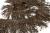 008-коричневый, Бахрома арт.001 шир.10см (упак.12+/-0,5м) - купить в Иркутске. Цена: 1 017.33 руб.