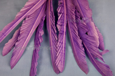 Декоративный Пучок из перьев, перо 25см/фиолетовый - купить в Иркутске. Цена: 12.19 руб.