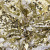 Трикотажное полотно, Сетка с пайетками, шир.130 см, #315, цв.-белый/золото - купить в Иркутске. Цена 693.39 руб.