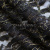 Кружевное полотно XD LACE 1-4, 80 гр/м2, шир.150см, цвет чёрный - купить в Иркутске. Цена 245.94 руб.